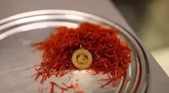 Kilosu 900 bin liraya ulaşan safran, mısır koçanı ve at kılı ile taklit ediliyor