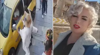 Mardinli Marilyn Monroe'ya hapis cezası