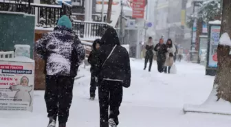 Van'da 363 yerleşim yeri ulaşıma kapandı