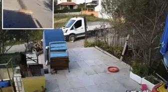 Yol kenarında yatan köpeği ezdi, arkasına bakmadan gitti