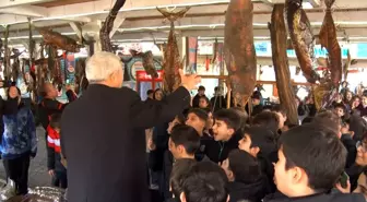 Ara tatile giren öğrencilerden, balık müzesi ziyareti