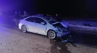 Bingöl'de domuz sürüsüne çarpan otomobildeki 3 kişi yaralandı