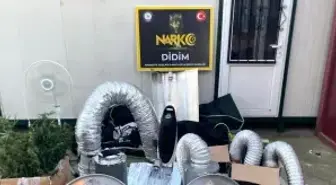 Didim'de uyuşturucu operasyonu: Kenevir yetiştirme kabini ele geçirildi