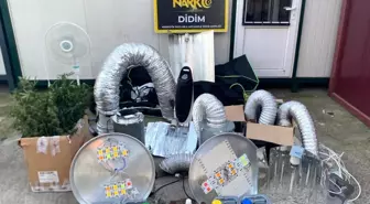 Didim'de uyuşturucu operasyonu: Kenevir yetiştirme kabini ele geçirildi