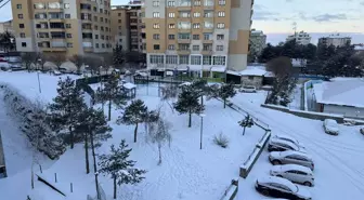 Erzurum, Ardahan, Tunceli, Kars ve Ağrı'da dondurucu soğuklar yaşamı güçleştiriyor