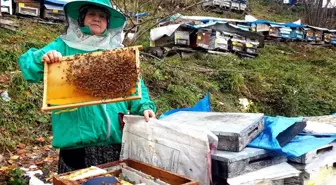 Genç yaşta babasını kaybedince ömrünü kardeşlerine adadı; arıcılık yapıp hepsini okuttu