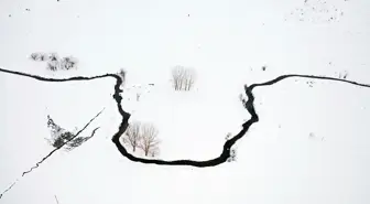 Kastamonu'da kar altındaki mendereslerin kış güzelliği