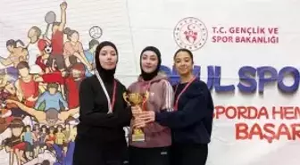 Körfezli karateciler, okul sporları il birinciliğinde dereceye girdi