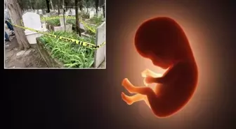 Mezarlıkta poşet içinde cenin bulundu