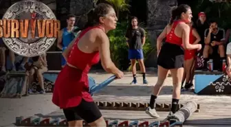 Survivor'da yarışmacılar tuvaletlerini nereye yapıyor? Survivor'da kadınlar regl oluyor mu, ne yapıyorlar?