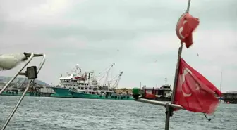 Türkiye'yi terk eden hamsinin yolu gözleniyor