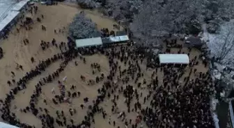 Bilecik'te Gölpark Kış Festivali'nde vatandaşlara 2 ton hamsi dağıtıldı