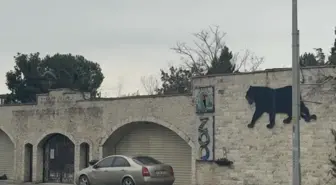 Bir devrin sonu! Darıca Hayvanat Bahçesi kapatıldı