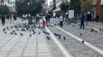 Edirne'de dondurucu soğuk: Edirneliler evde, Bulgarlar mağazalarda