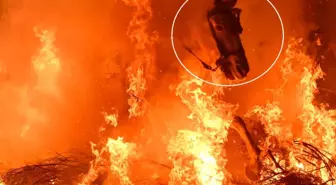 Film sahnesi değil gerçek: Atlar, alevlerin arasından böyle geçti