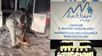 Hakkari'de 28 kilo 600 gram gelen metamfetamin ele geçirildi