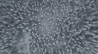 Ilgaz Dağı'nın karlı ormanları dron ile görüntülendi