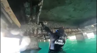 Mahsur kalan kedi için sahil güvenlik seferber oldu