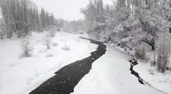 Sivas'ta kar yağışı etkili oluyor