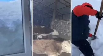 Sosyal medyada gündem olan 'Yardım çığlığı' asılsız çıktı