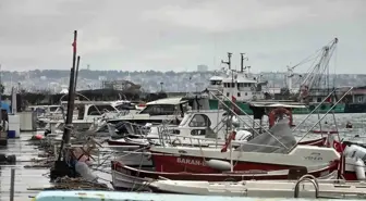 Uyanık lüfer Karadeniz zekasını kullandı: Denizlerde bol ama ağlara girmiyor