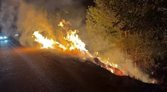 Yol kenarında çıkan yangın, ormana sıçradı