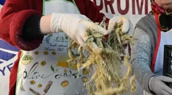 10. Bodrum Hamsi Festivali gerçekleştirildi