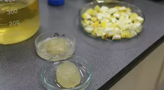 Ağaç kavunu kabuğundan 'süper emici hidrojel' geliştirdiler