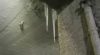 Ankara'da soğuk hava etkili oluyor