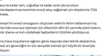 Bakan Bayraktar: Vatandaşlarımıza kesintisiz enerji akışı sağlamak için ekiplerimiz sahada