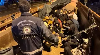 Hatay'da 174 kaçak göçmen yakalandı