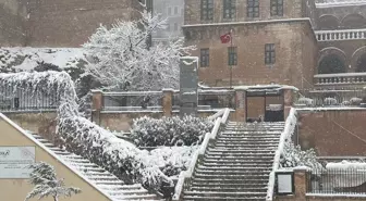 Mardin'de kar yağışı etkili oldu