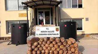 Mersin'de 335 kilo kaçak tütün ele geçirildi