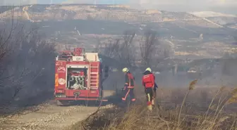 Mersin'de tarla ve çalılık alanda çıkan yangın söndürüldü