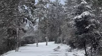 Sakarya ve çevre illerde kar etkili oldu