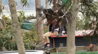 Sarıyer'de silahla başından vurulmuş halde bulundu; ölüm haberini alan yakınları çatıya çıktı