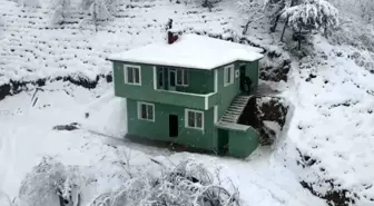 Şehit ailesi harabe köy evinden kurtuldu, yeni yuvalarına kavuştu