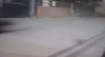 Silivri'de kar yağışı etkili oluyor