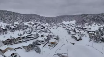 Sivas'ta çam ağaçlarıyla kaplı Eğriçimen Yaylası'nda kar kalınlığı 1 metreye ulaştı