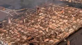 Sultanbeyli'de 2. Hamsi Festivali Coşkuyla Gerçekleşti