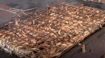 Sultanbeyli'de 2. Hamsi Festivali Coşkuyla Gerçekleşti