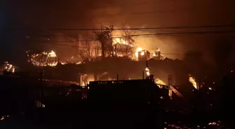 Albüm: Şili'de Etkili Olan Orman Yangınlarında Hayatını Kaybedenlerin Sayısı 18'e Yükseldi, Ohal İlan Edildi