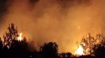 Antalya'da orman yangını