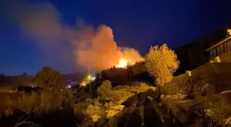 Antalya'da ormanlık alanda yangın çıktı