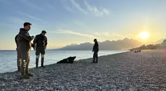 Antalya'da sahilde erkek cesedi bulundu