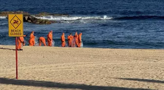 Avustralya'nın Sydney kentinde köpek balıkları 2 çocuğa saldırdı