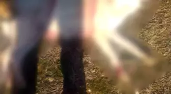 Burdur'da köpeklerin silahla öldürüldüğü iddialarına valilikten açıklama