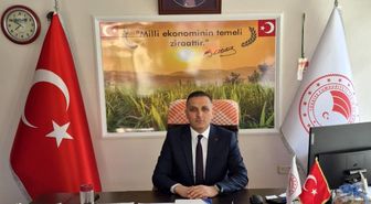 Çiftçilere yüzde 50 hibeli ayçiçeği tohumu dağıtılacak