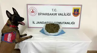 Diyarbakır'da 41 kilo esrar ele geçirildi