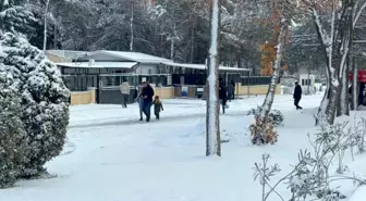 Diyarbakır'da kar yağışı çileye dönüştü